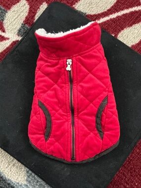 Dog Winter Coat XS